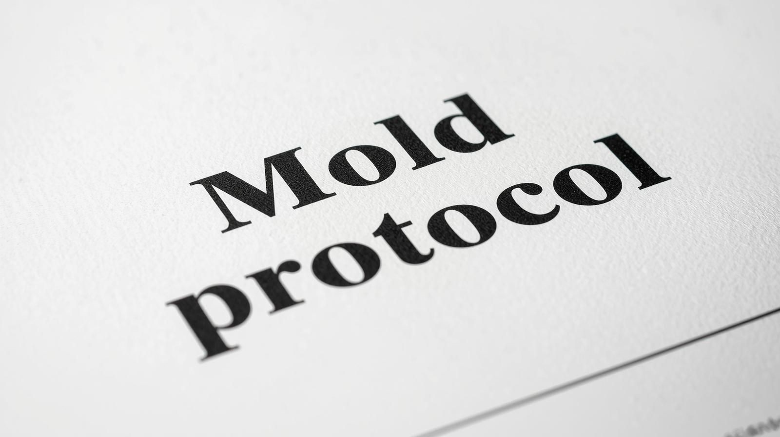 Mold Remediation Protocol Report