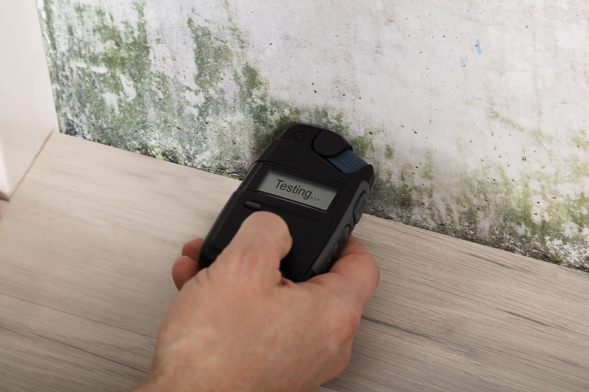 Person Hand Testing The Moldy Wall